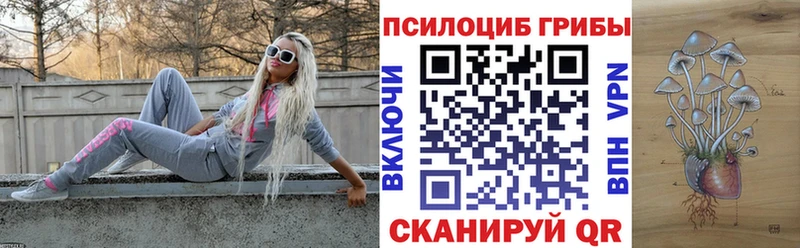 Галлюциногенные грибы Magic Shrooms  Тверь 